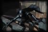 Bats are nocturnal